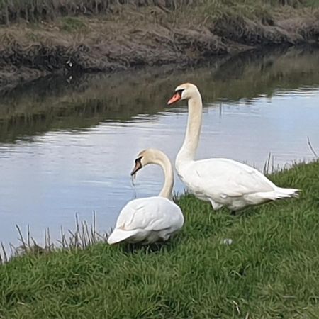 Delightful Cottage On The River Adur Close To Brighton & The Downs No Dogs Sorry Upper Beeding Exterior photo